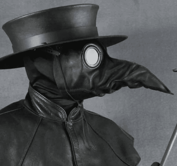 The Jackdaw
